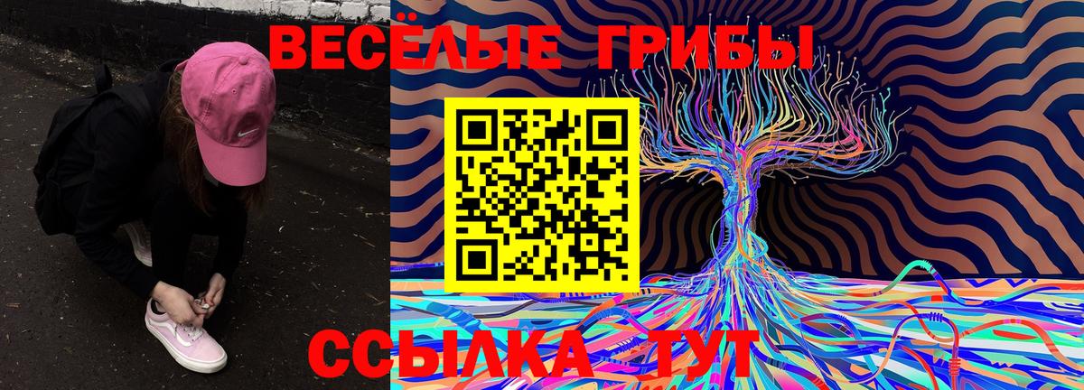 Пенза  Псилоцибиновые грибы GOLDEN TEACHER  Вход с VPN 
