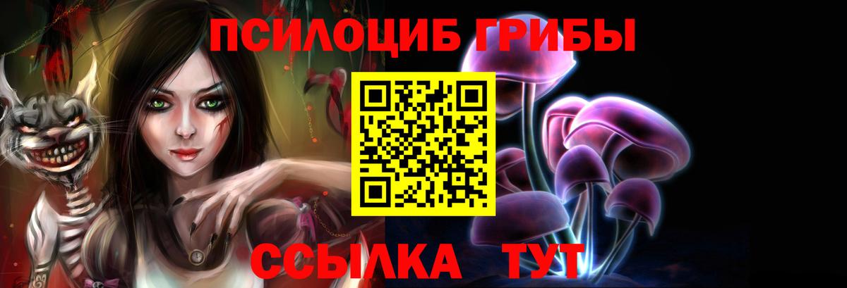 Псилоцибиновые грибы мицелий Пенза